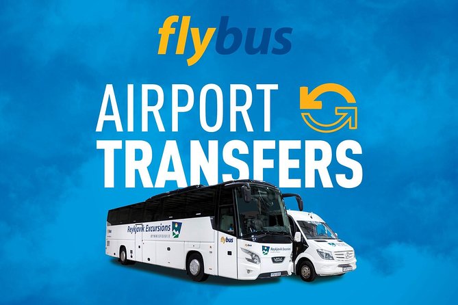 Iceland: Airport Transfers Between Keflavík and Reykjavík Center - Accessibility and Accommodations