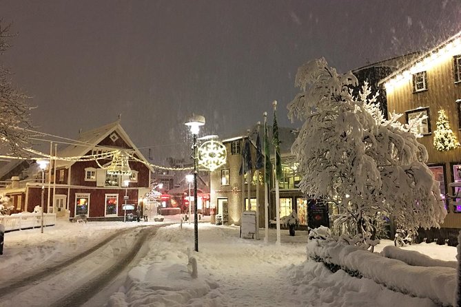 Icelands Christmas Myths and Traditions - Reykjavík Walking Tour - Guided Storytelling