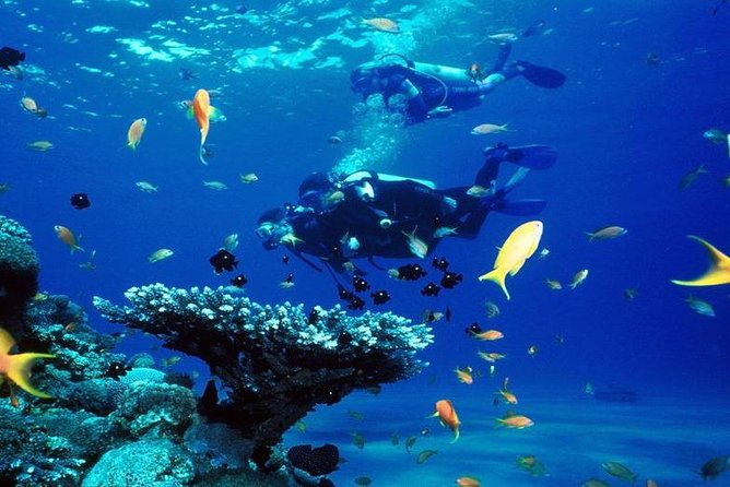 Intro Scuba Diving Beginners Full Day Boat Trip 2 Stops Diving & Lunch– Hurghada - Exploring the Red Sea Dive Sites