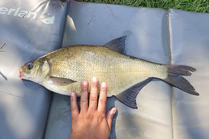 Introduction to Fishing in Strasbourg - Exploring the Fishing Spots