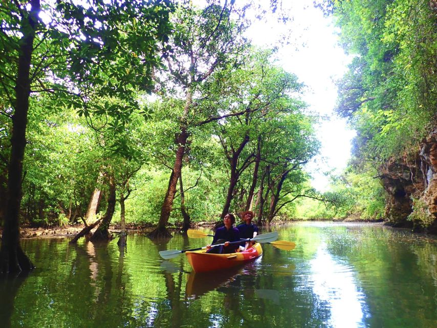 Ishigaki Island: 2-Hour Miyara River Kayaking Tour - Customer Reviews and Ratings