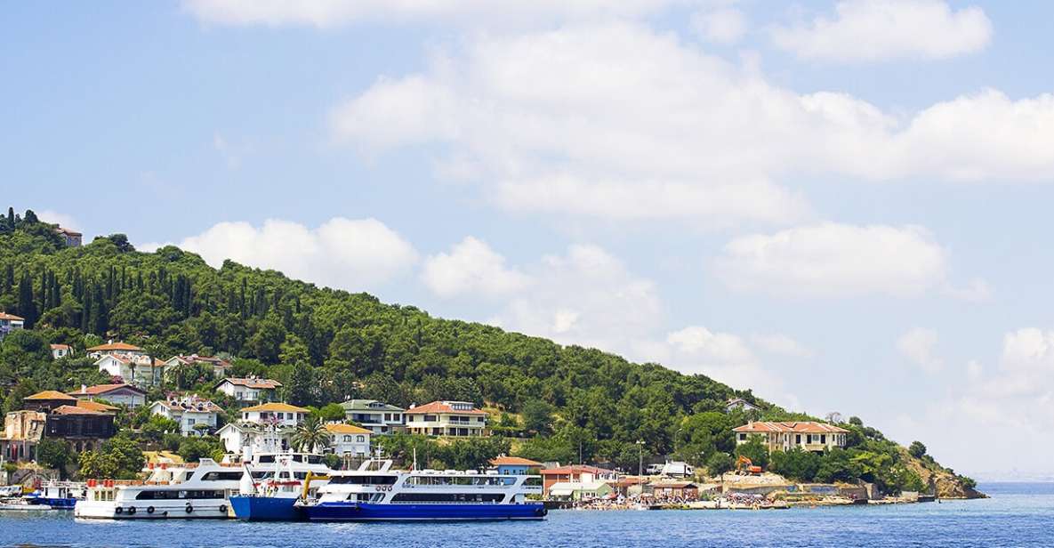 Istanbul: Round-Trip Ferry Tickets to the Princes Islands - Accessing the Island via Separate Entrance