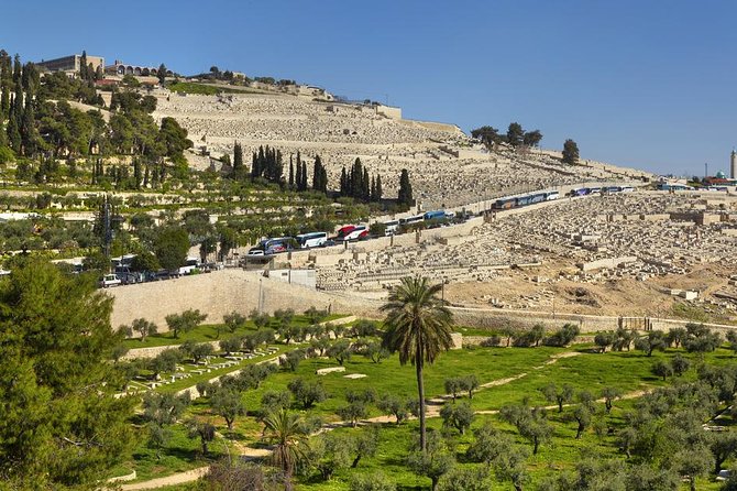 Jerusalem Half-Day Tour From Tel Aviv: Holy Sepulchre and Western Wall - Temple Mount Esplanade