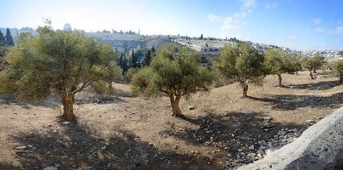 Jerusalem Old City From Tel Aviv - Cancellation Policy