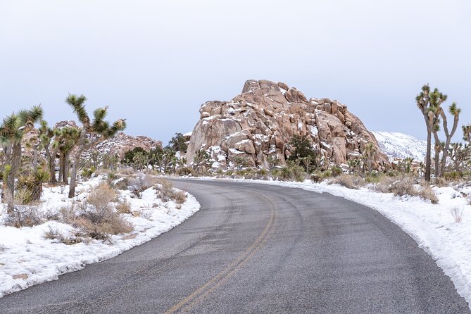 Joshua Tree National Park Self-Driving Audio Tour - Flexible and Personalized Exploration