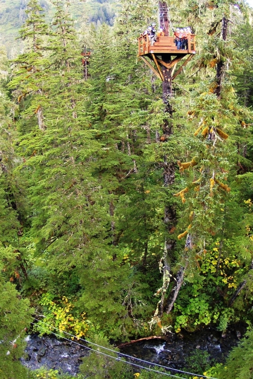 Juneau: Alpine Zipline Adventure - Meeting Point and Location