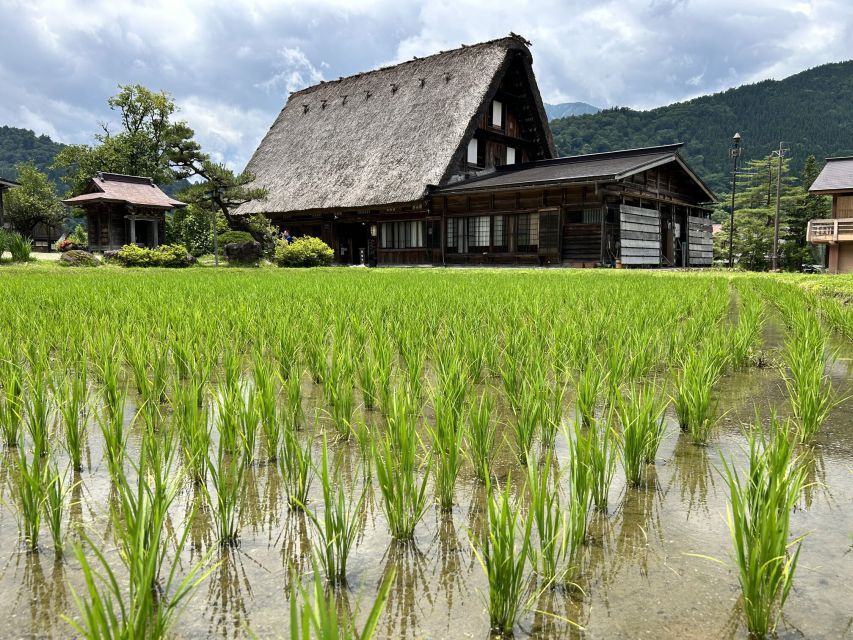 Kanazawa to Shirakawago: Half-Day Tour - Experience Highlights