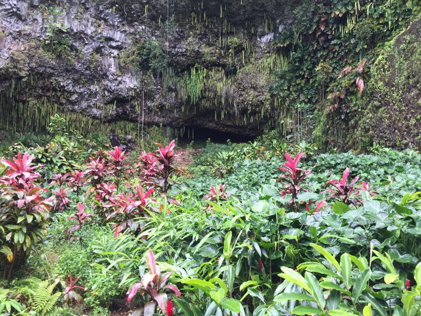 Kauai: Full-Day Tour With Fern Grotto River Cruise - Hanalei Bay Guided Tour