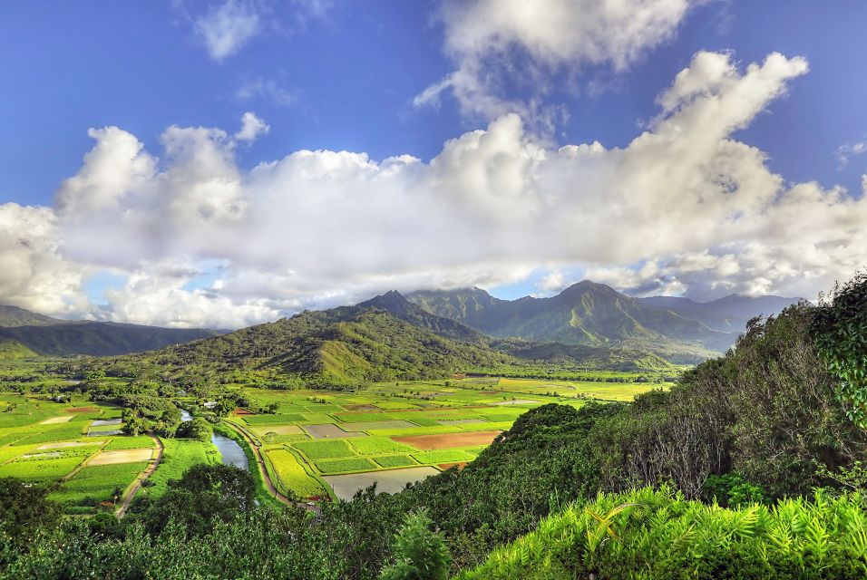 Kauai: Movie Locations Tour - Unparalleled Beauty Meets Hollywood