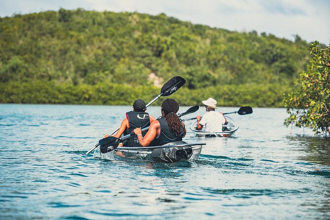 Kayak Eco Adventures Glass Kayak Nature and Snorkeling Tour - Unique Kayaking Experience