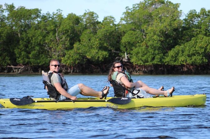 Kayak Tour Adventure Marco Island and Naples Florida - Pedal Kayak Features