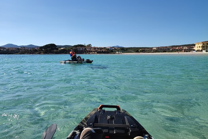 Kayak Tour in Golfo Aranci With Aperitif and Dolphin Watching - Positive Reviews