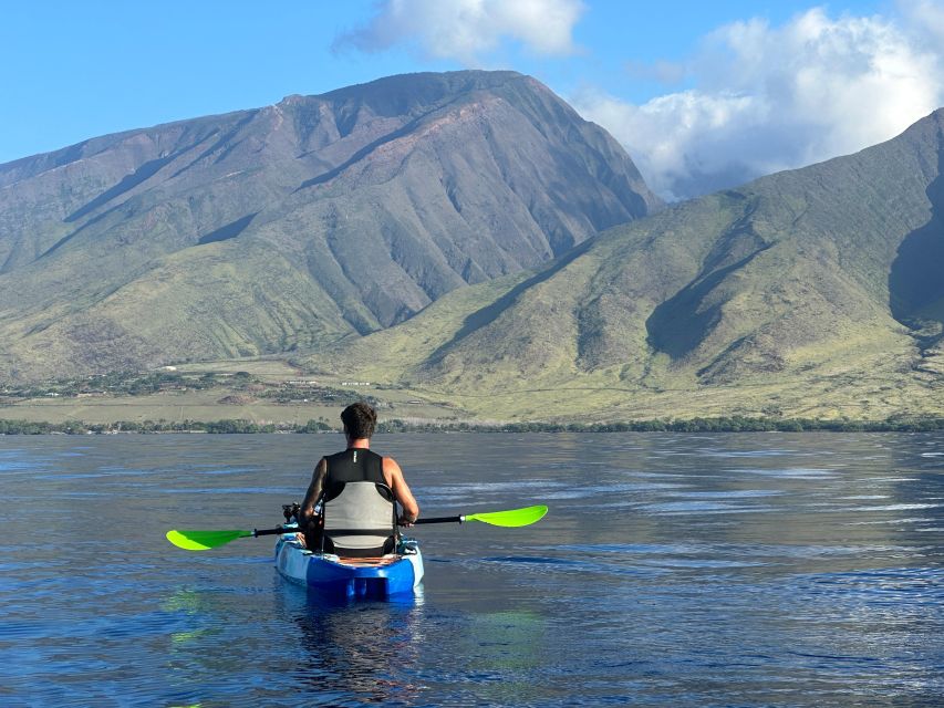 Kayak, Whale Watch And Snorkel At Turtle Town - Meeting Point and Age Requirement