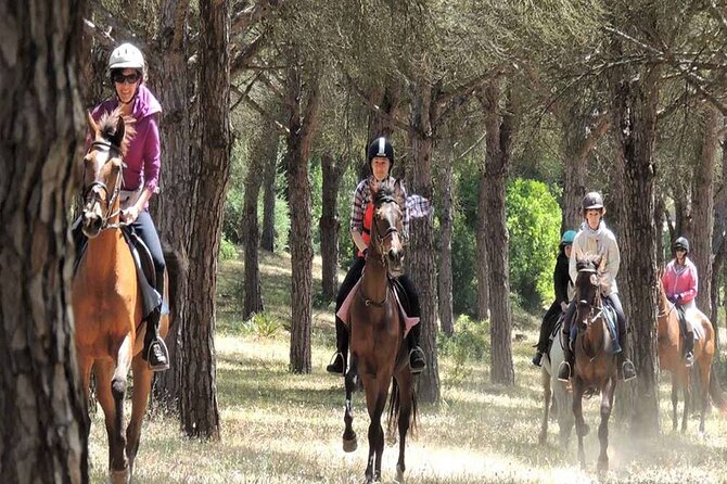 Kemer Horse Safari Experience With Free Hotel Transfer - Customer Feedback