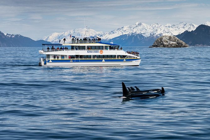 Kenai Fjords National Park Glacier & Wildlife Cruise - Onboard Amenities and Inclusions