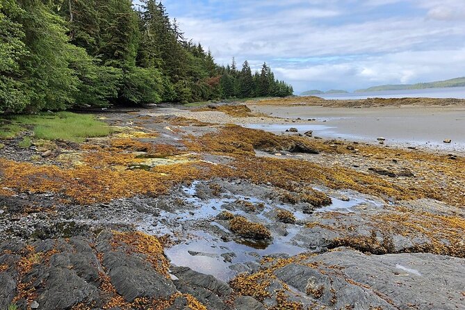 Ketchikan Electric Bike and Rain Forest Hike Ecotour - Inclusions