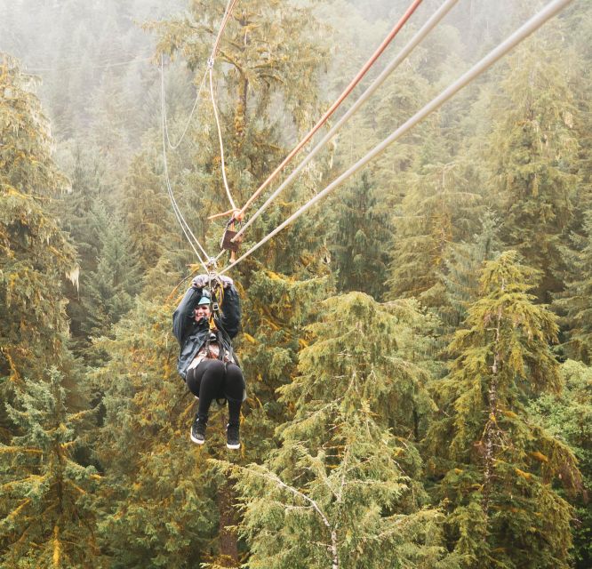 Ketchikan: Rainforest Zipline, Skybridge, & Rappel Adventure - Rappelling Down the Viewing Tower