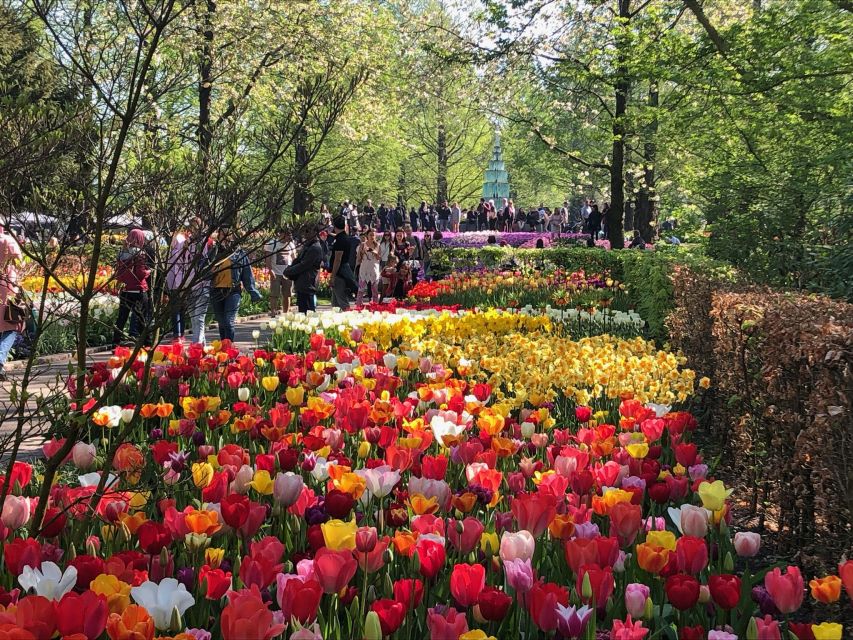 Keukenhof, Flower Fields & Delft City - Photography Opportunities