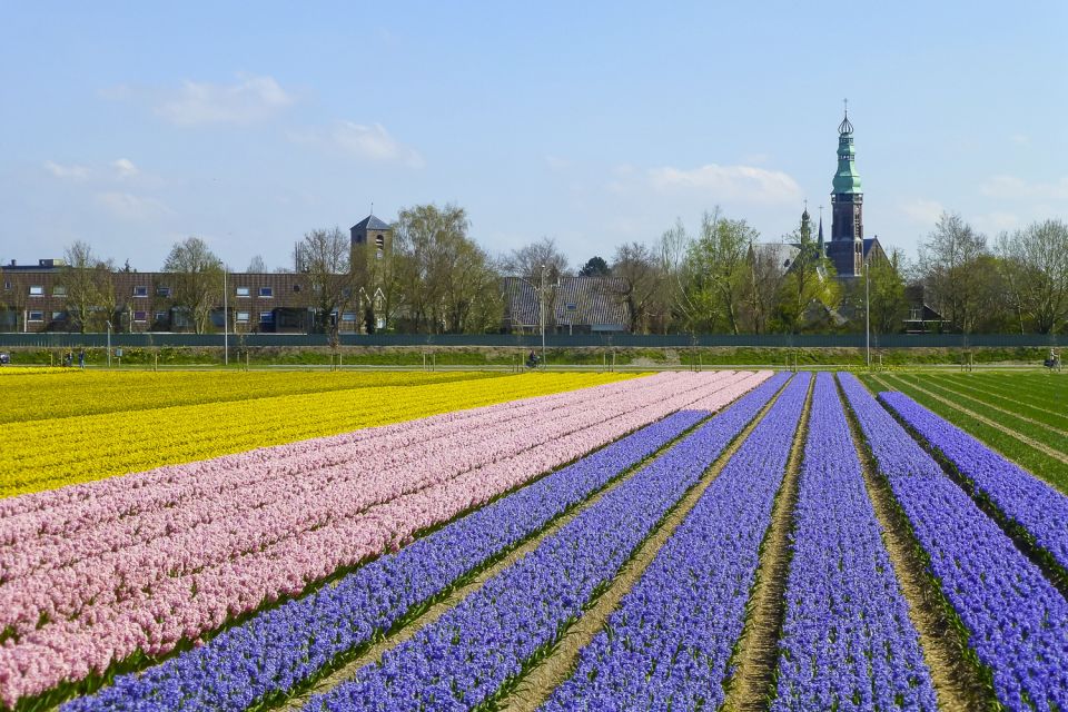 Keukenhof: Flower Fields Small-Group Cultural Bike Tour - Important Information