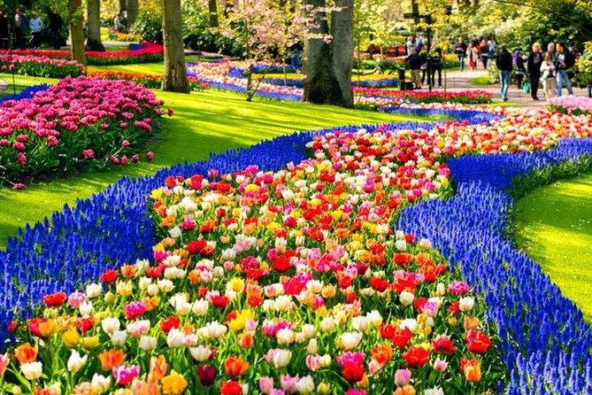 Keukenhof & Flowerfarm Tour From Amsterdam Skip-The-Line Tickets - Tailored to Your Needs