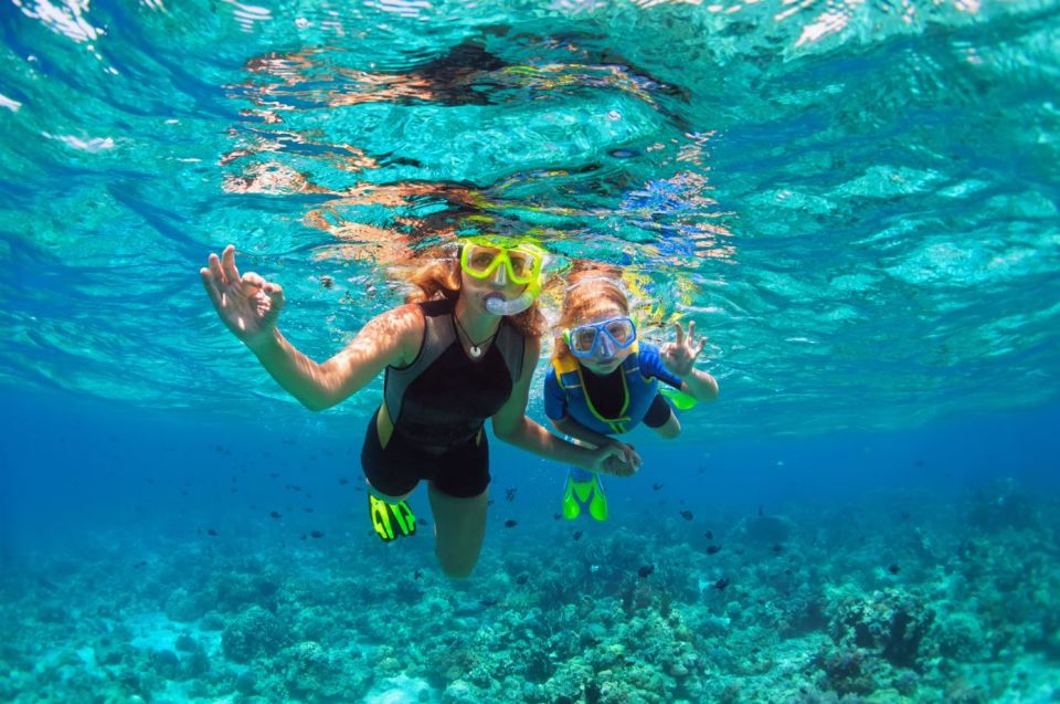 Key West: Reef Snorkel Morning Tour With Breakfast & Mimosas - Customer Feedback