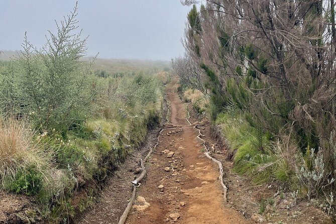 Kilimanjaro 1 Day Hike - What to Expect on the Trail