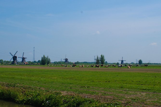 Kinderdijk Area Cycling Tour - Local Attractions and Cheese Farm