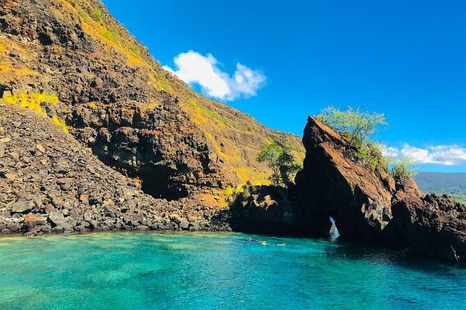 Kona Dolphin, Sea Cave & Captain Cook / Kealakekua Bay Adventure! - Snorkeling in Clear Waters