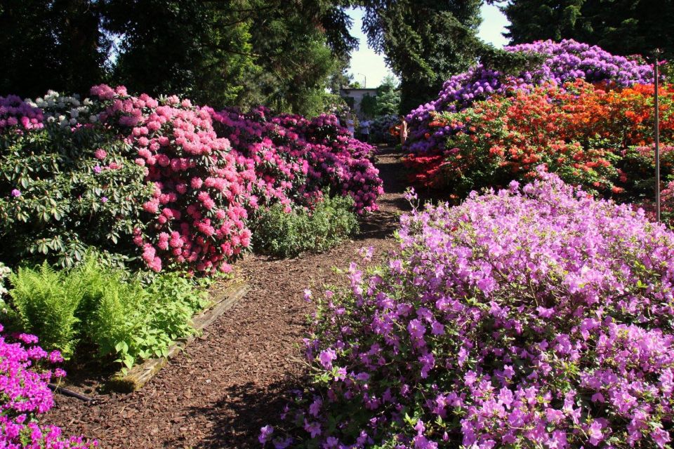 Kornik Castle and Rogalin Palace Half-Day Private Tour - Admiring the Gardens