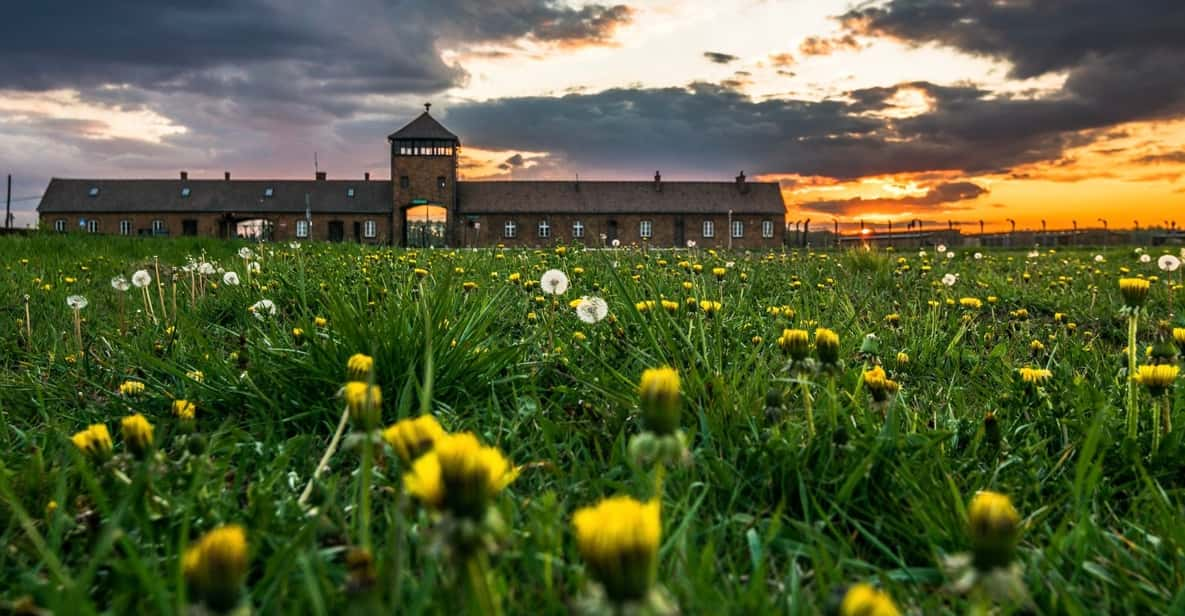 Krakow: Auschwitz-Birkenau Extended Guided Tour & Options - Customer Reviews and Feedback