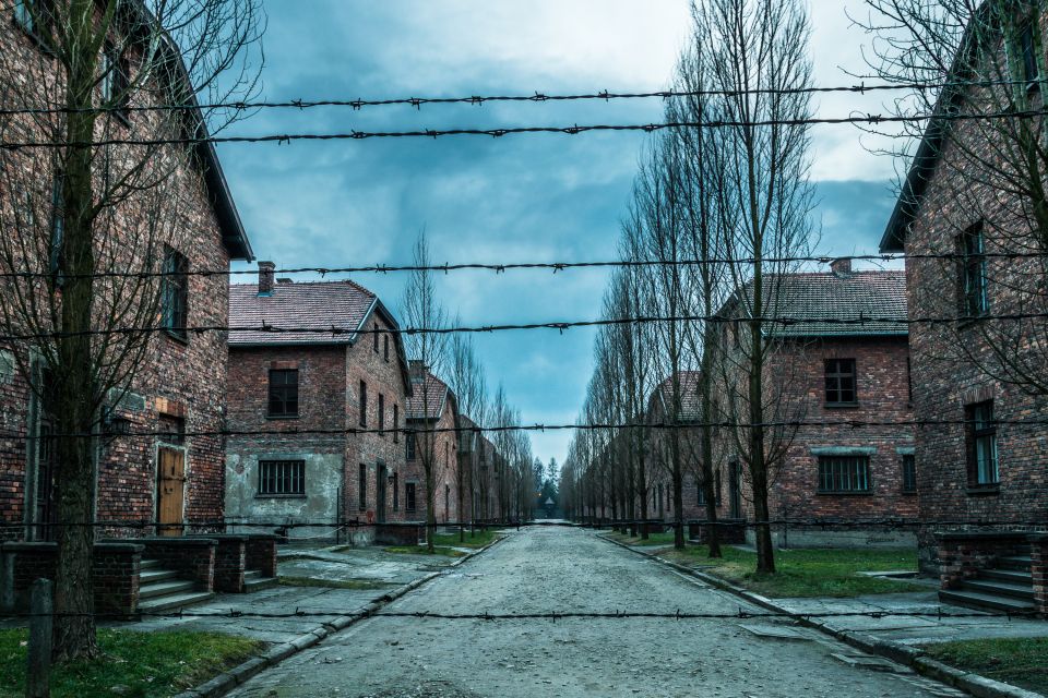 Kraków: Auschwitz-Birkenau & Salt Mine Full-Day Guided Tour - Customer Reviews and Feedback