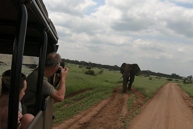 Kruger National Park Private Full-Day Safari - Private Safari Vehicle & Guide - Child-Friendly