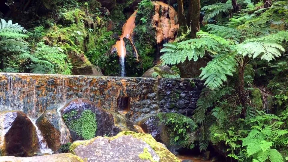 Lagoa Do Fogo: Guided Volcano Geo Tour W/ Hotsprings Bathing - Customer Reviews and Ratings