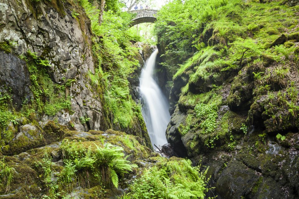 Lake District 3-Day Small Group Tour From Edinburgh - Day 3: Whinlatter Forest and Slate Workings