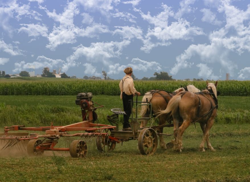 Lancaster County: Amish Farmlands, Museum Tour, Farm Visit - Customer Feedback and Ratings