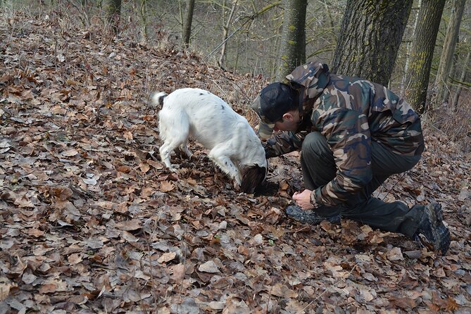 Langhe Truffle Hunting Experience - Group Size and Accessibility