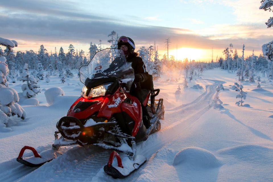 Lapland: Full-Day Snowmobile Safari Into the Wilderness - Suitability and Exclusions