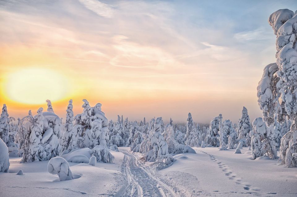 Lapland: The Frozen Waterfalls of Korouoma Tour - Booking Details