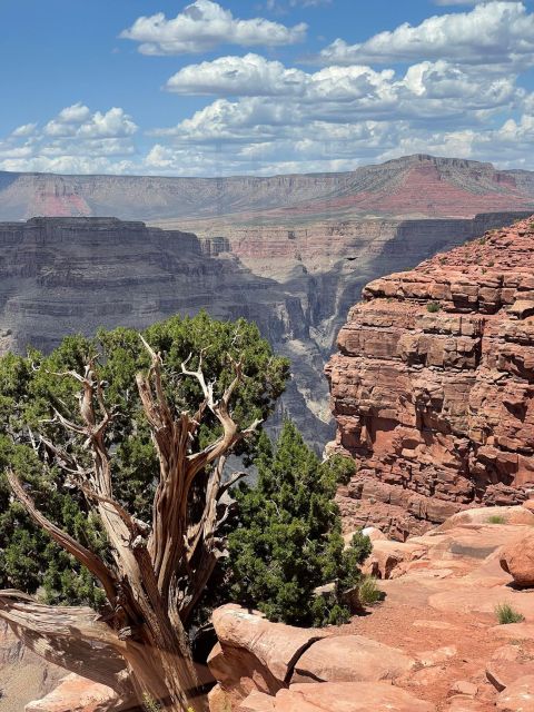 Las Vegas: Grand Canyon West Rim Tour & Skywalk With Lunch - Grand Canyon Skywalk