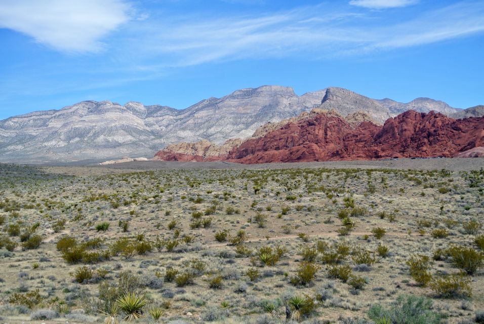 Las Vegas: Mojave, Red Rock Sign and 7 Magic Mountains Tour - Customer Reviews and Feedback