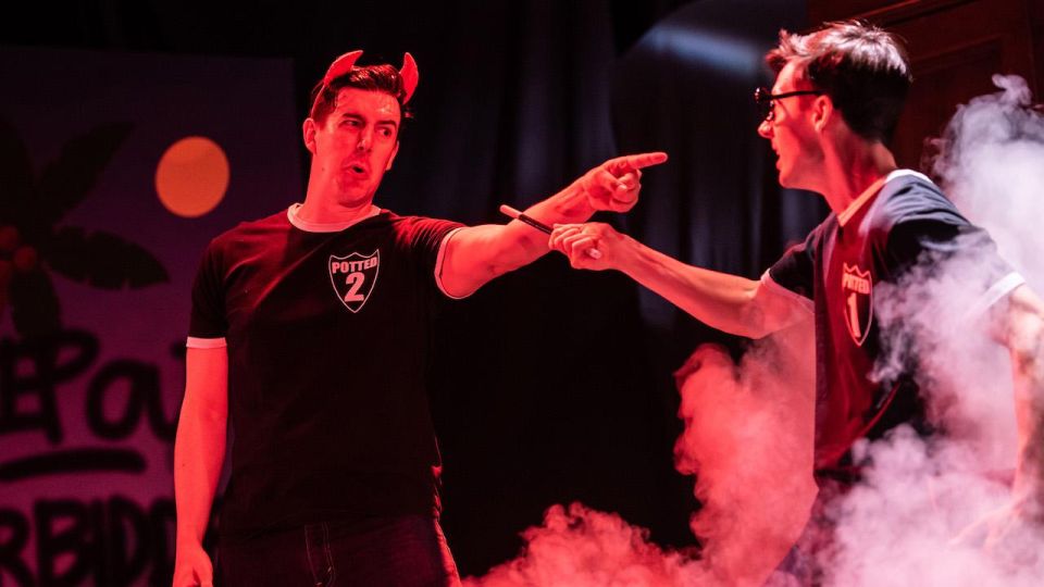 Las Vegas: Potted Potter - The Unauthorized Harry Experience - Suitability and Age Restrictions