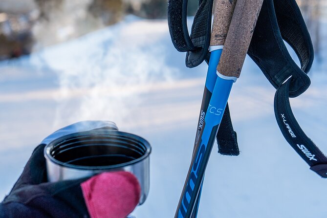 Learn Nordic Skiing - Private Class With Professional Instructor - Fitness and Accessibility Requirements