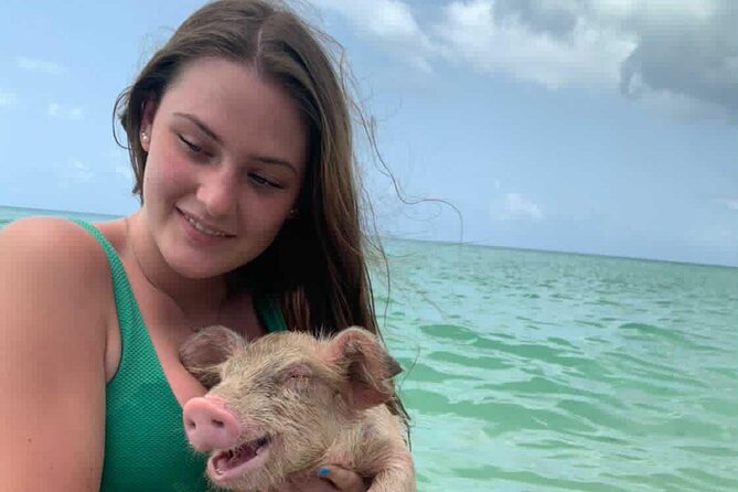 Lets Get Piggy With It: a Splashin Good Time With the Pigs! - Visiting Rose Island