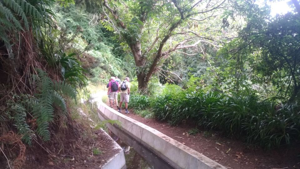 Levada Boa Morte - Quinta Grande Half Day - Easy Walk - Booking and Cancellation Policy