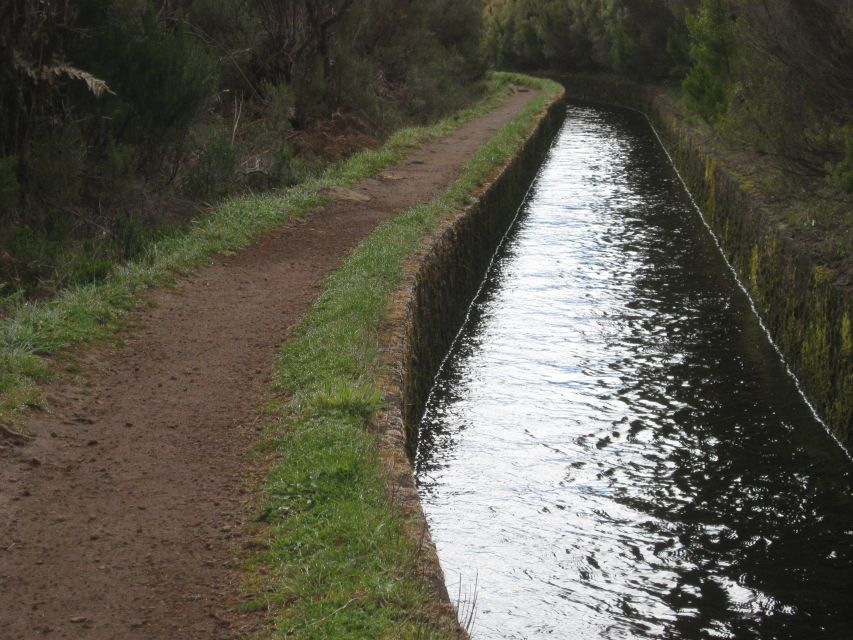 Levada Do Alecrim (Madeira Lakes) Full-Day Walk - Pickup and Transportation