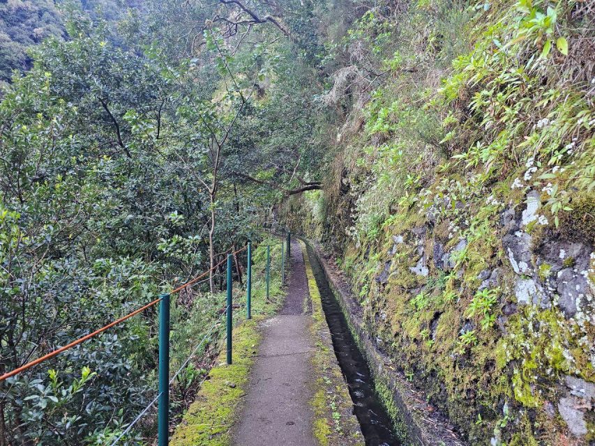 Levada Do Castelejo- Guided Tour by Overland Madeira - Guided Tour Experience