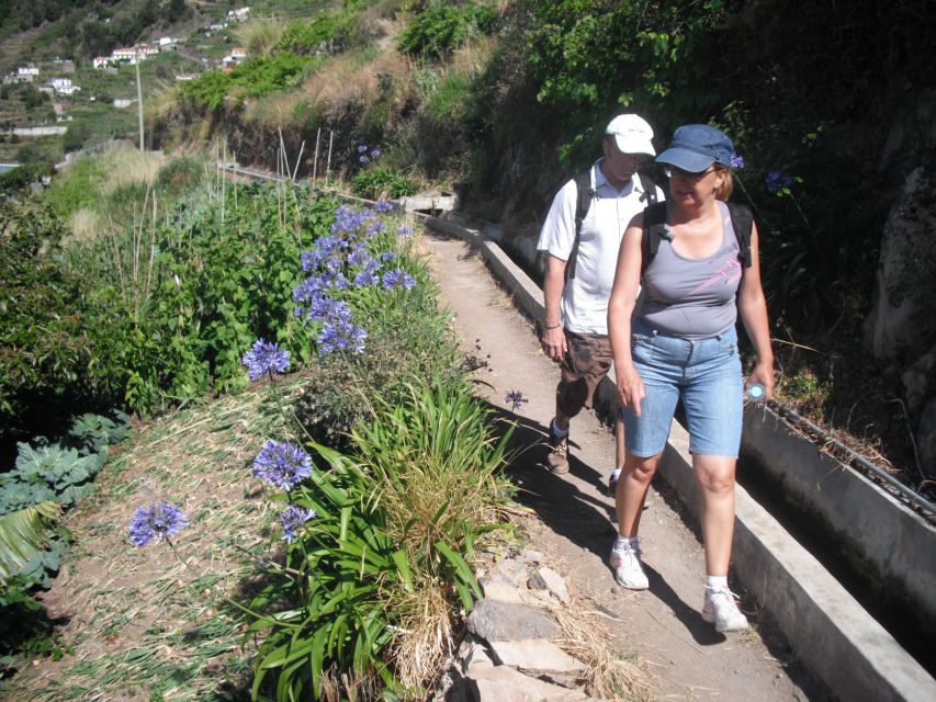 Levada Dos Maroços - Half Day - Easy Walk - Explore Machico Valley