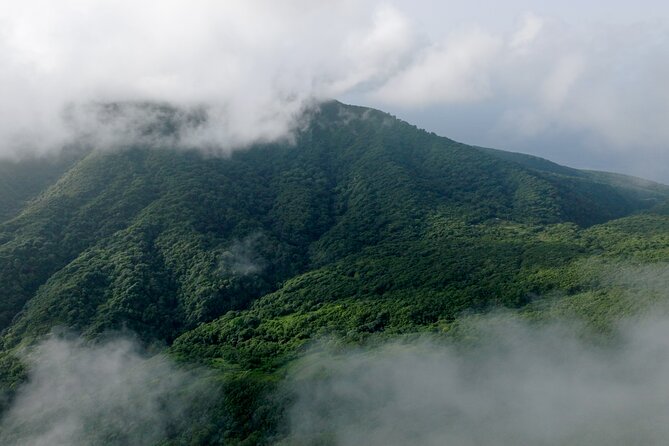 Liamuiga Natural Farm Tour - Departure and Return