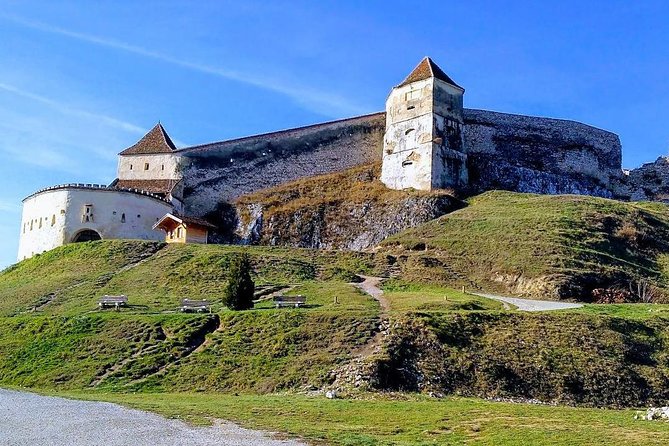 Libearty Brown Bear Sanctuary, Rasnov Fortress, Bran Castle Day Tour From Brasov - Libearty Bear Sanctuary