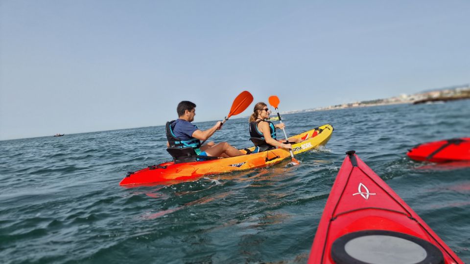 Lisbon Coast Guided Kayak Tour - Customer Feedback